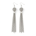 Liquid Silver Mesh Tassel Earrings